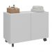 Gabinete Armário de Banheiro 62,5cm com Rodízios 2 Portas Multimóveis MP5043 Branco