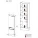 Paneleiro 2 Portas 62cm com Rodapé Veneza Multimóveis V2121 Branco/Dourado
