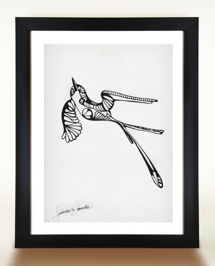 Gravura HUMMINGBIRD