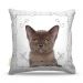 Almofada Cat 02 45X45Cm