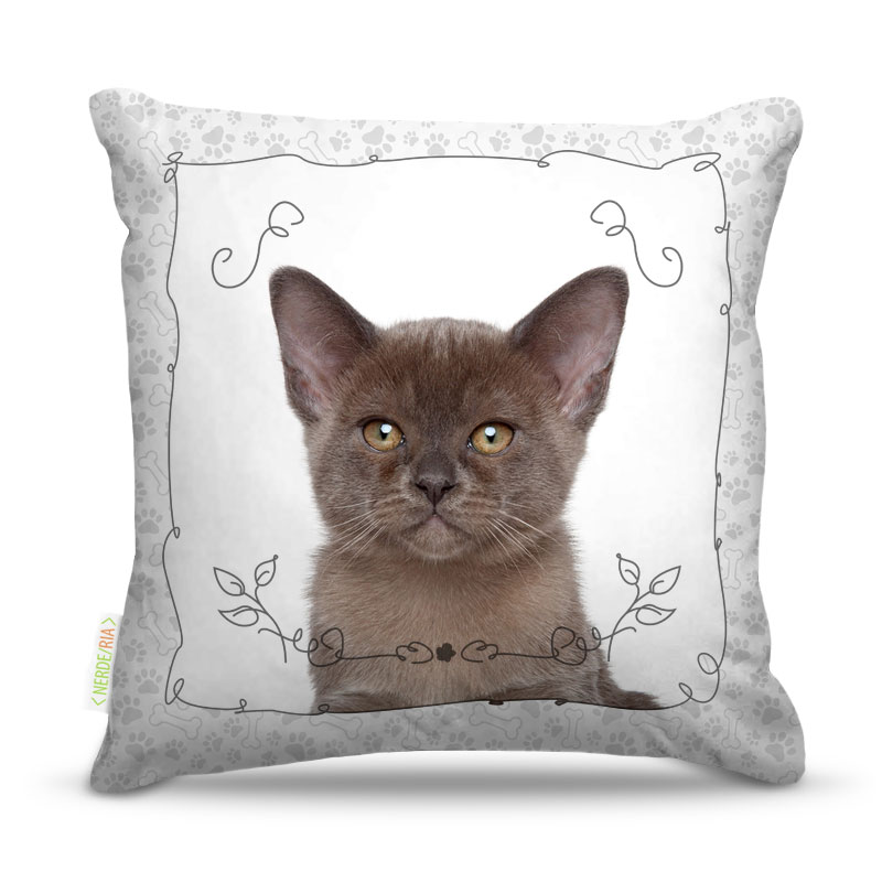 Almofada Cat 02 45X45Cm