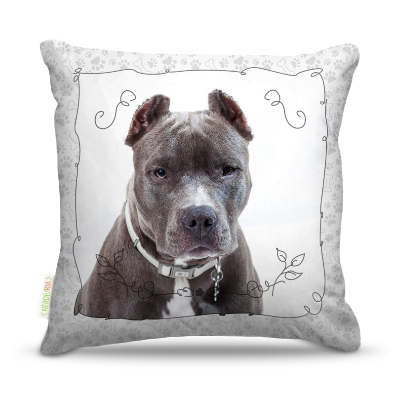 Almofada Dog 29 45X45Cm