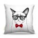 Almofada Gato Phyno 45X45Cm