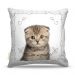 Almofada Nerderia Cat 03