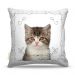 Almofada Nerderia Cat 04