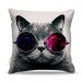 Almofada Nerderia Cat Glass