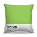 Almofada Nerderia Pantone Verde