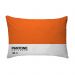 Fronha Para Travesseiro Nerderia Pantone Laranja