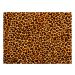 Jogo Americano (Kit 4 Unidades) Nerderia e Lojaria pele leopardo colorido