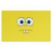 Jogo Americano Nerderia Bob Esponja