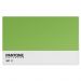Jogo Americano Nerderia Pantone Verde