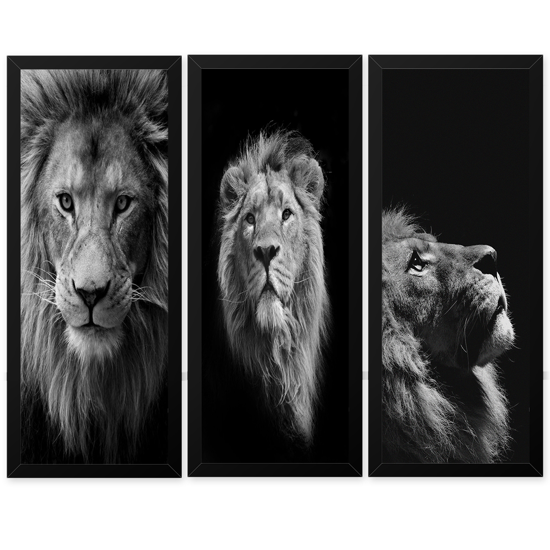 Quadro 33x63 (3und.)Nerderia Lojaria leao preto