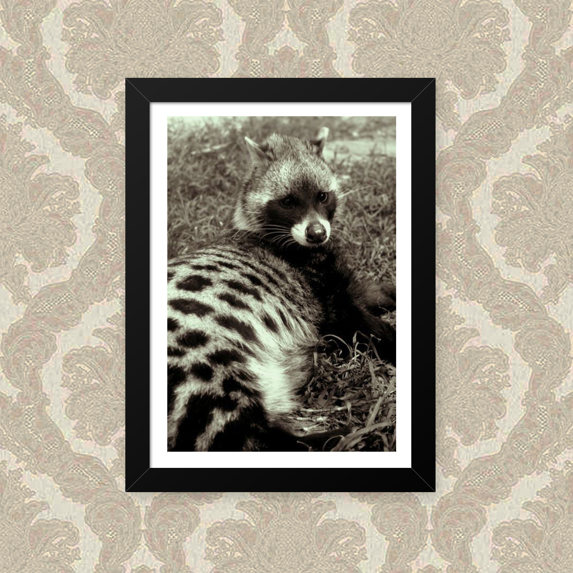 Quadro Animal 23X33cm