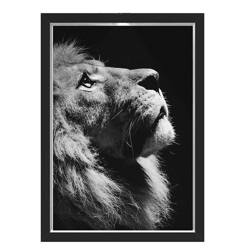 Quadro Caixa  33x43 cm (Com Led) Lojaria e Nerderia. leao olhar preto