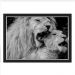 Quadro Caixa Leao Amor