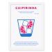 Quadro Decorativo 23x33cm Nerderia e Lojaria drinks caipirinha preto
