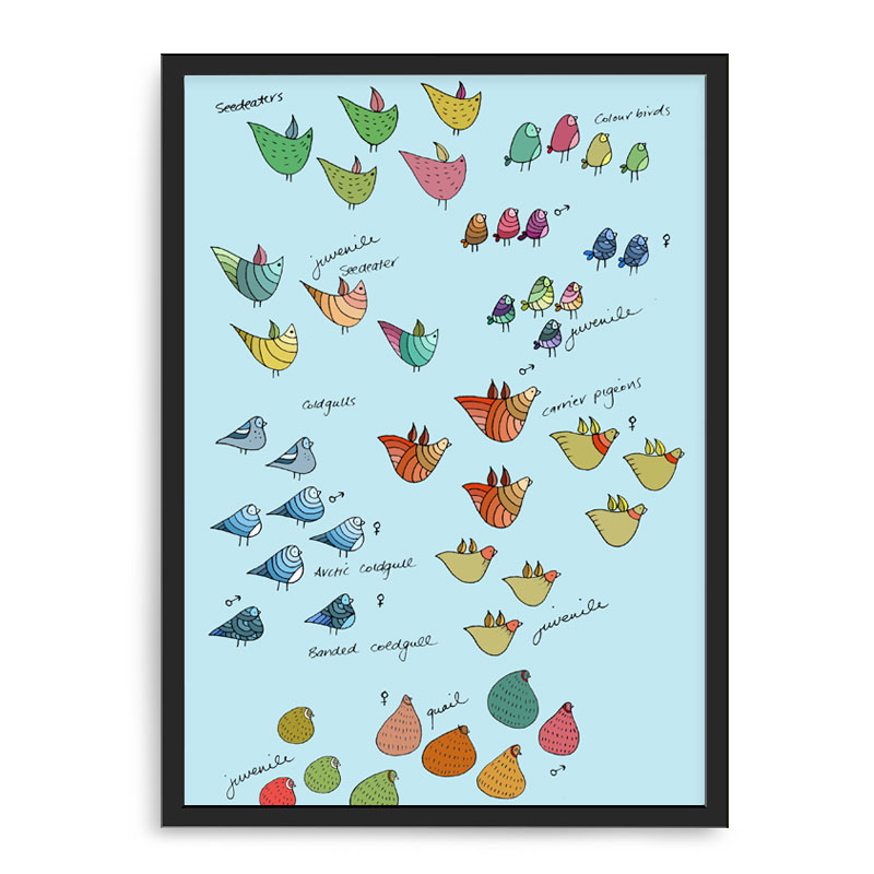 Quadro Decorativo 33x43cm Nerderia e Lojaria passaros voado preto