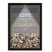 Quadro Decorativo Porta Conchas Nerderia - Iluminação Led