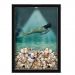 Quadro Decorativo Porta Conchas Nerderia - Iluminação Led