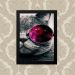 Quadro Gato Oculos 23X33