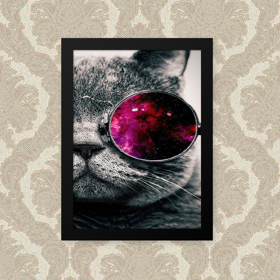 Quadro Gato Oculos 23X33
