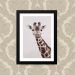 Quadro Giraffa Pescoço 33X43cm