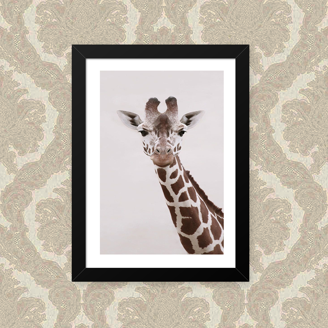 Quadro Giraffa Pescoço 33X43cm