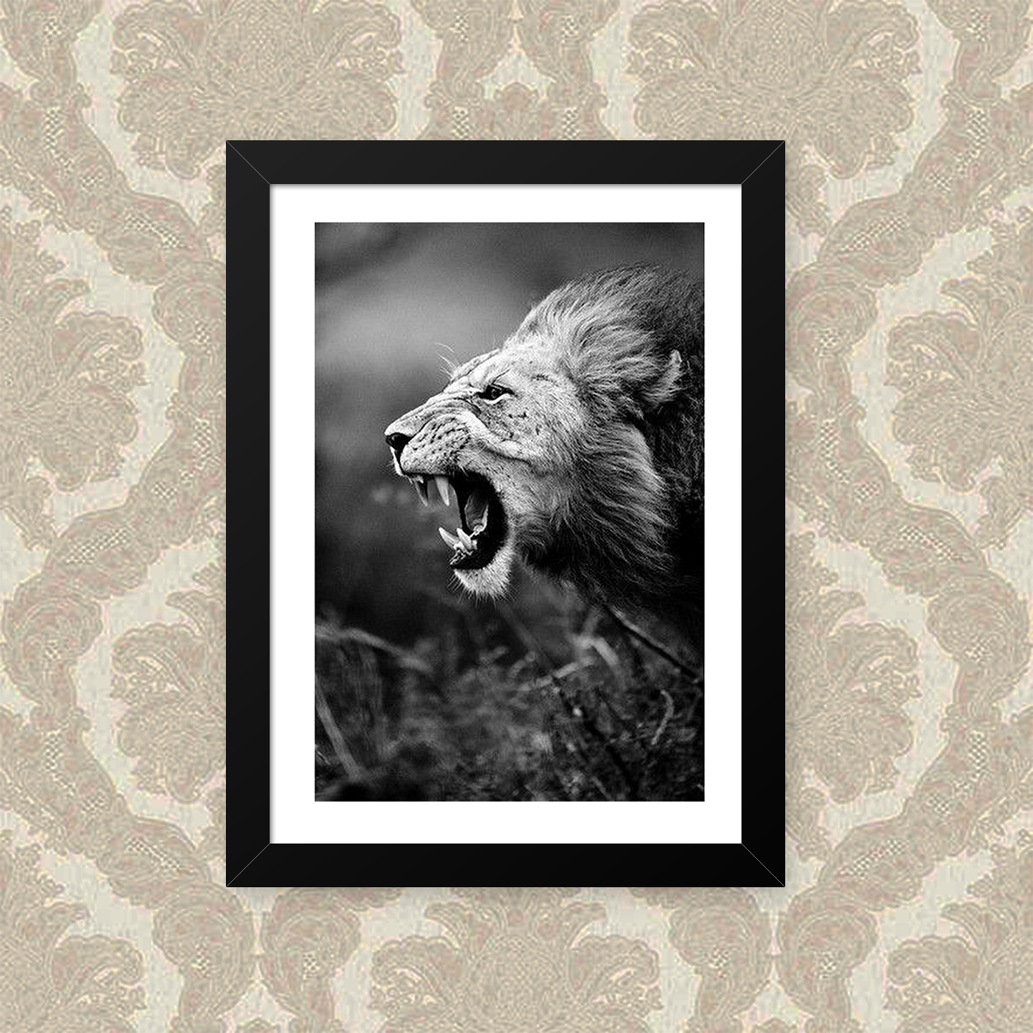 Quadro Leao Feroz 33X43cm