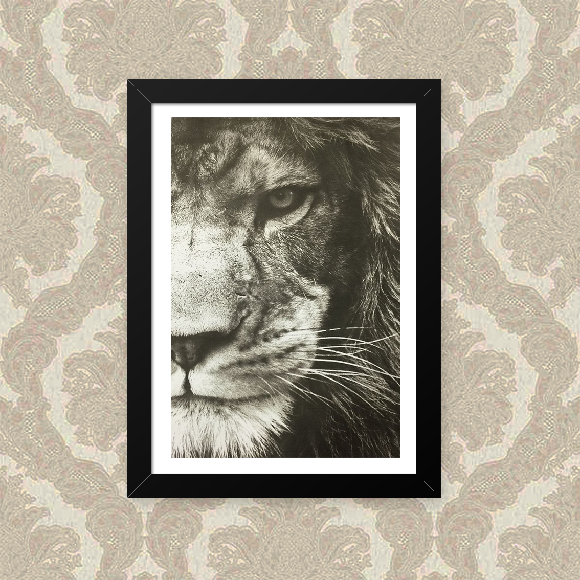 Quadro Leao Foco 23X33cm
