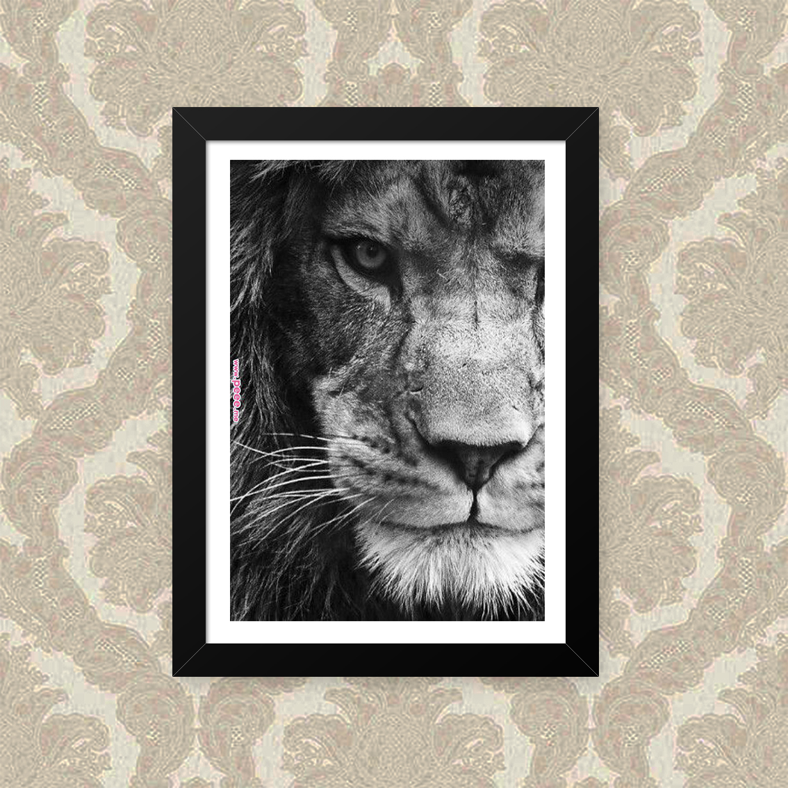 Quadro Leao Foco 23X33cm
