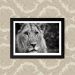 Quadro Lio Black White 23X33cm