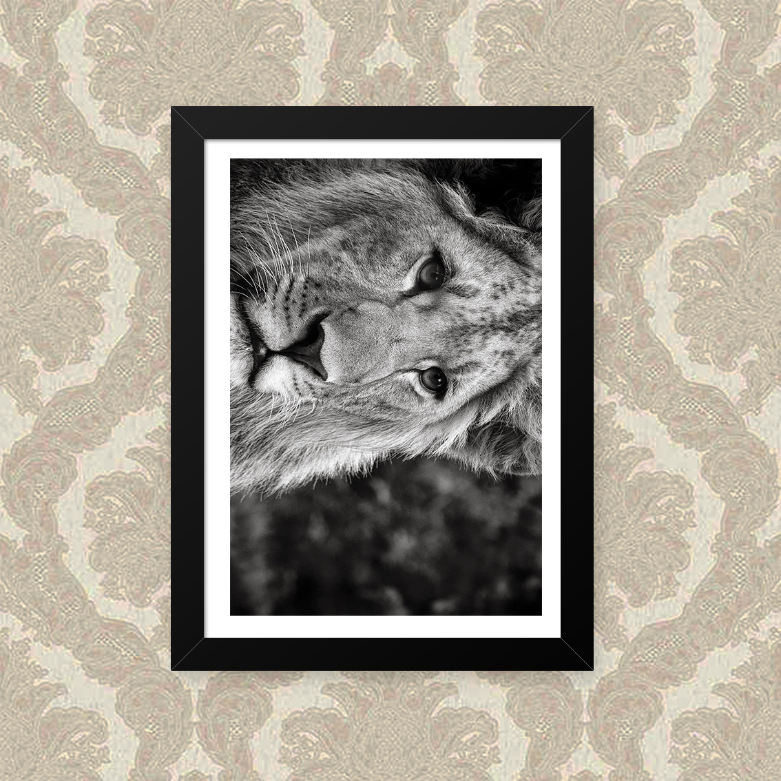Quadro Lio Black White 23X33cm