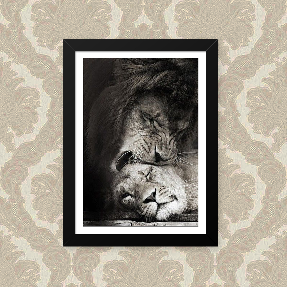 Quadro Lion Love 23X33cm