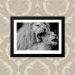 Quadro Love Lion 33X43cm