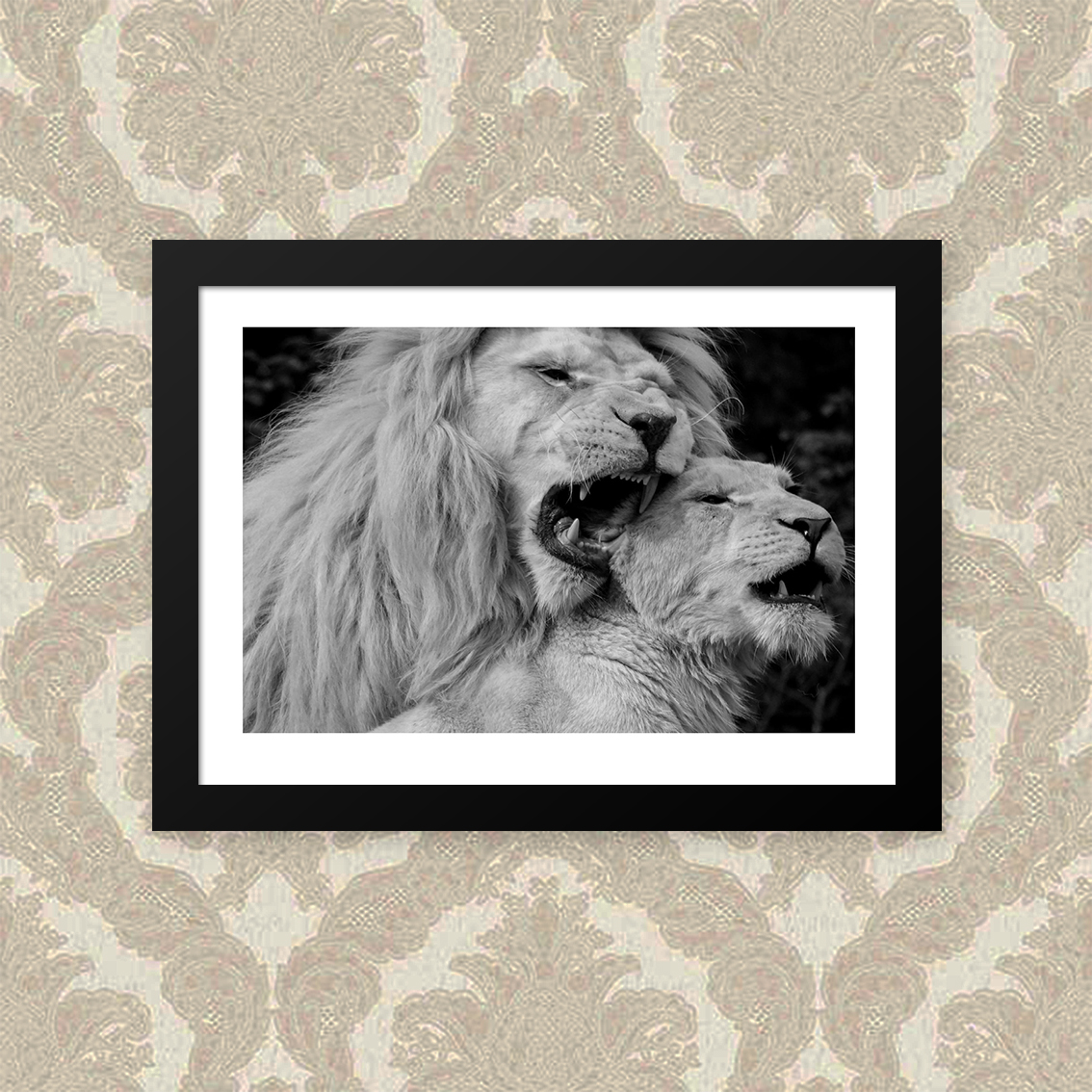 Quadro Love Lion 33X43cm