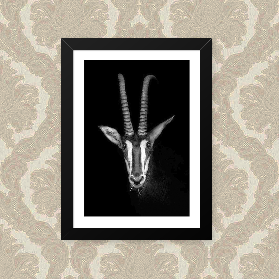 Quadro P&amp;Amp;B Animal 33X43cm
