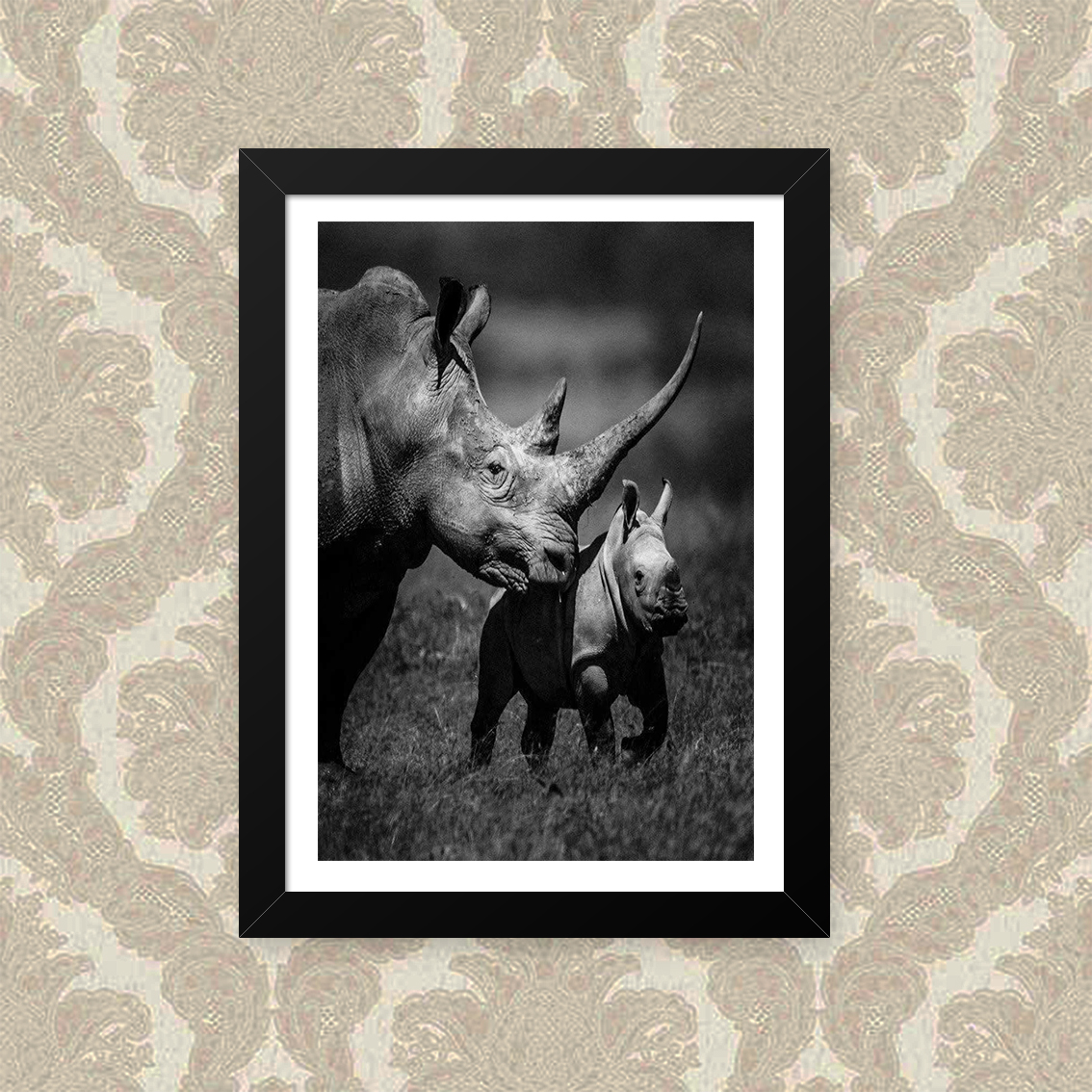 Quadro Rhino Family 23X33cm