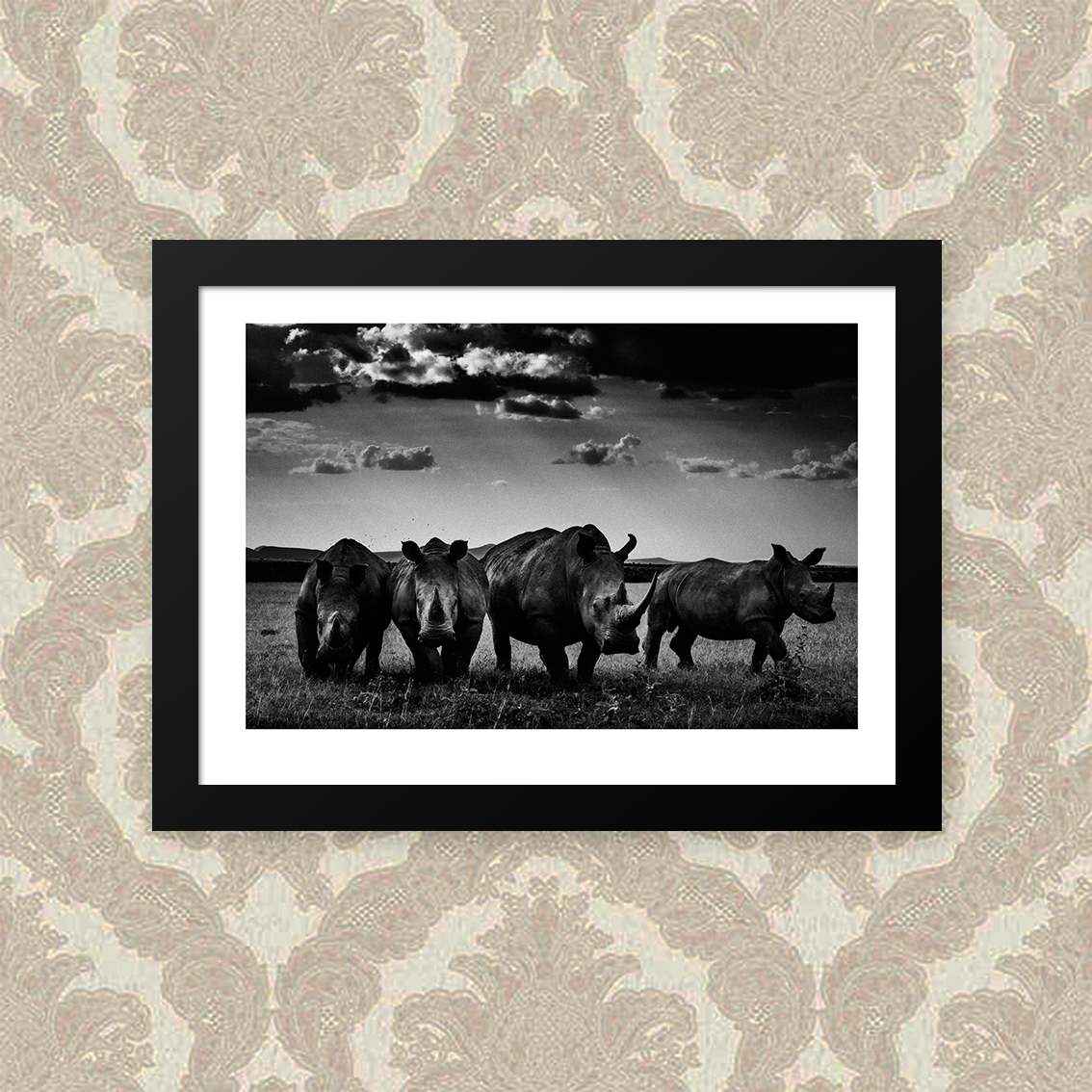Quadro Rhinos 33X43cm