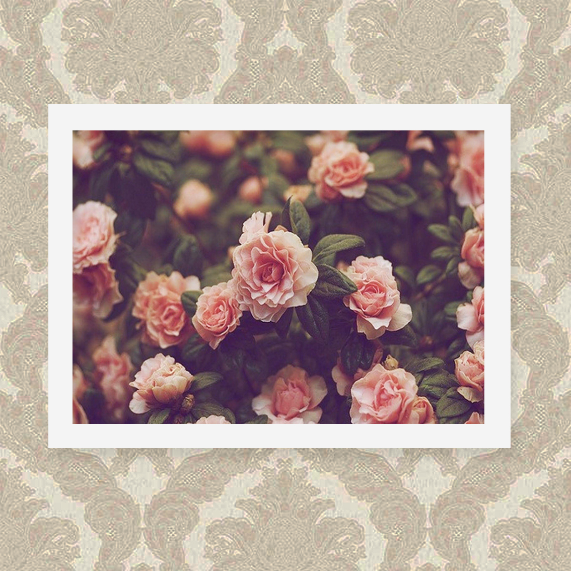 Quadro Rosas 33X43cm