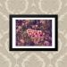 Quadro Rosas Floral 33X43cm