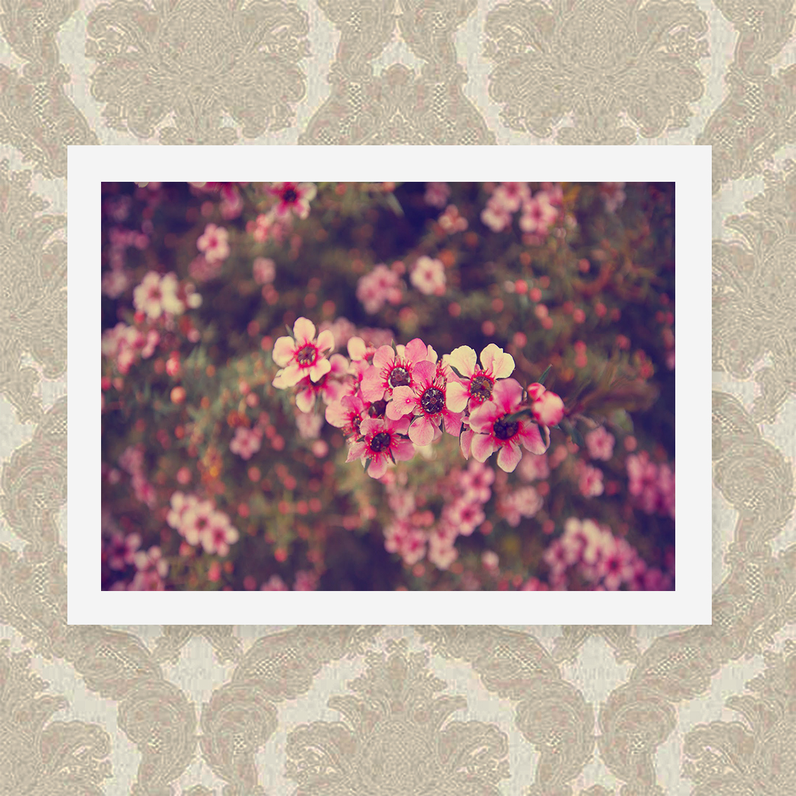 Quadro Rosas Floral 33X43cm