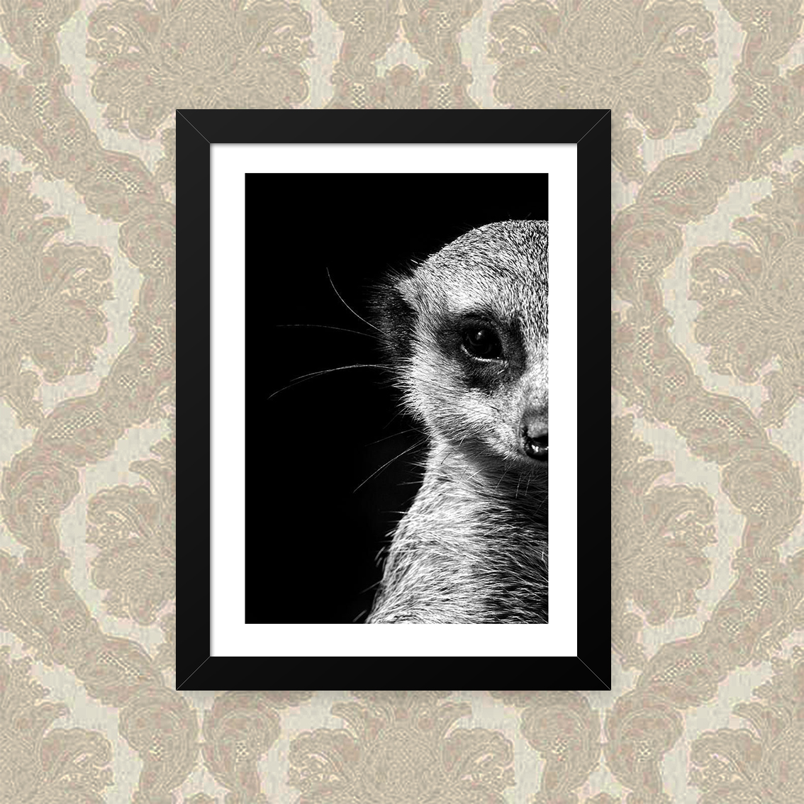 Quadro Suricate 33X43cm