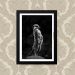Quadro Suricate Pose 23X33cm