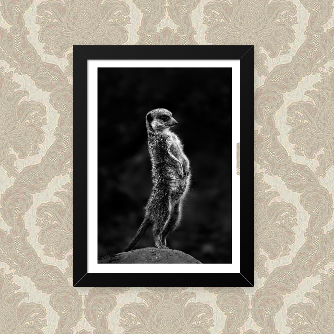 Quadro Suricate Pose 23X33cm