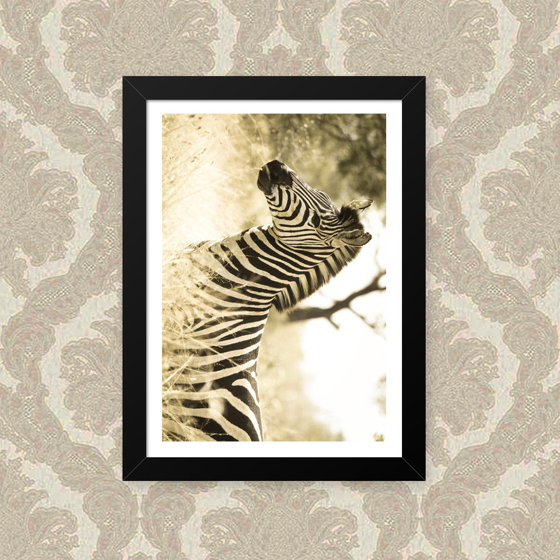 Quadro Zebra Sépia 23X33cm