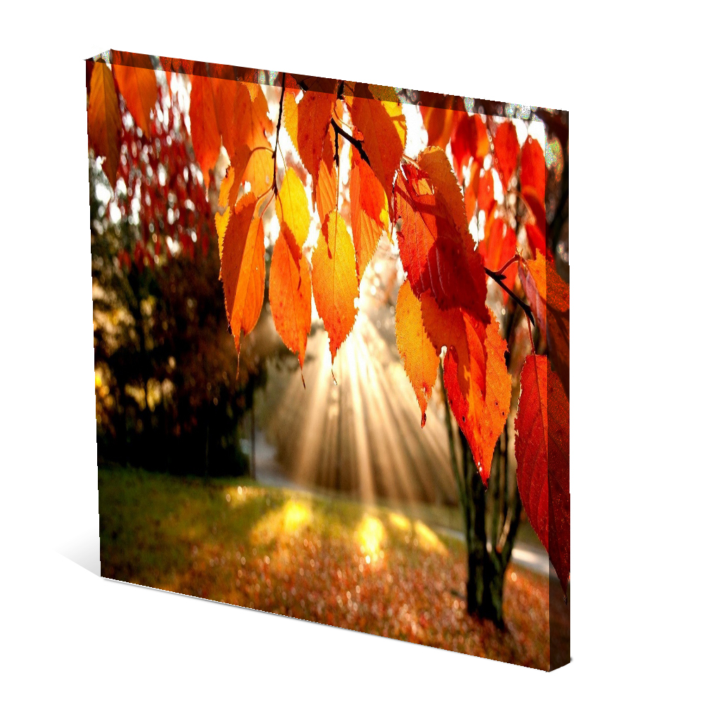 Tela Canvas Nerderia  30X30
