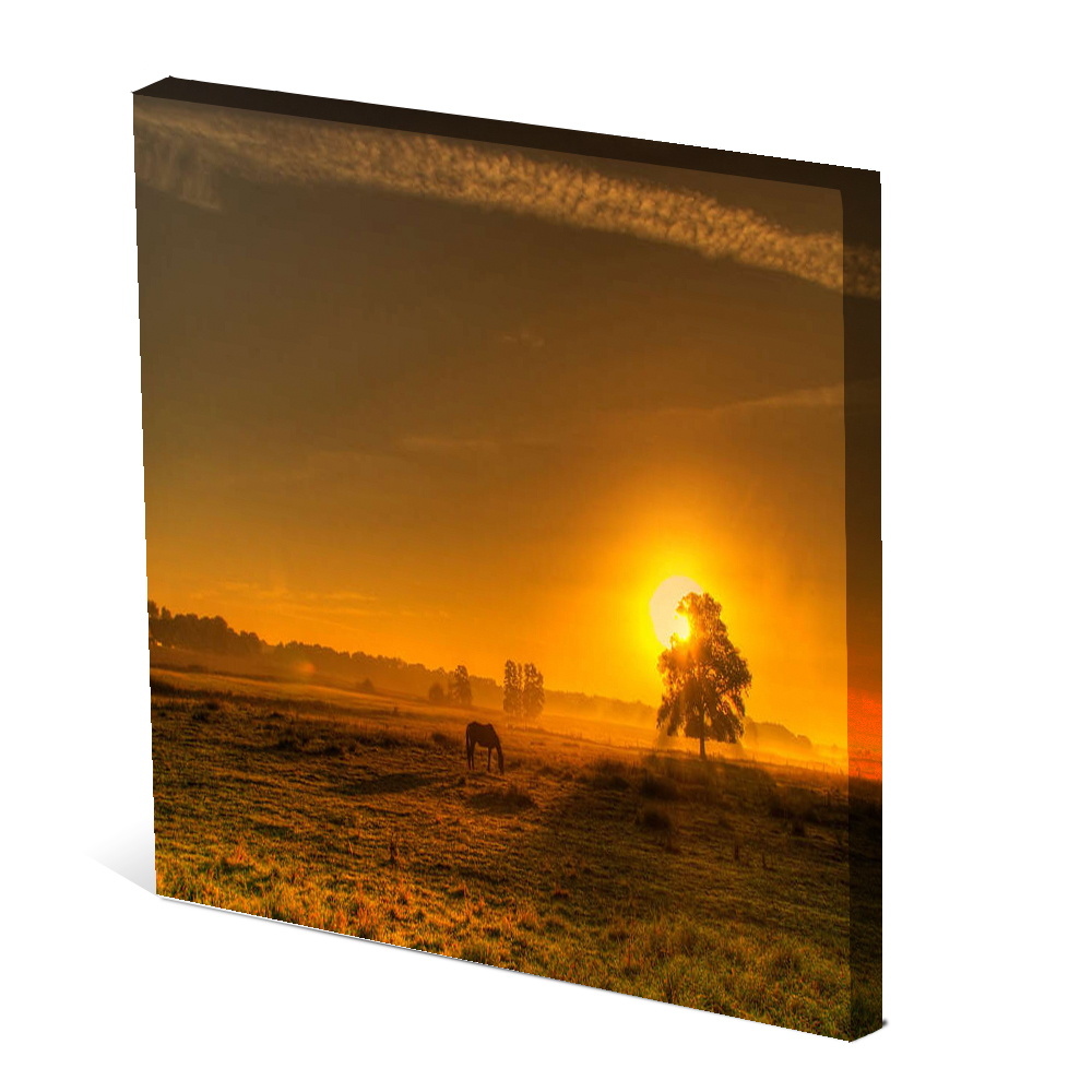 Tela Canvas Nerderia  30X30