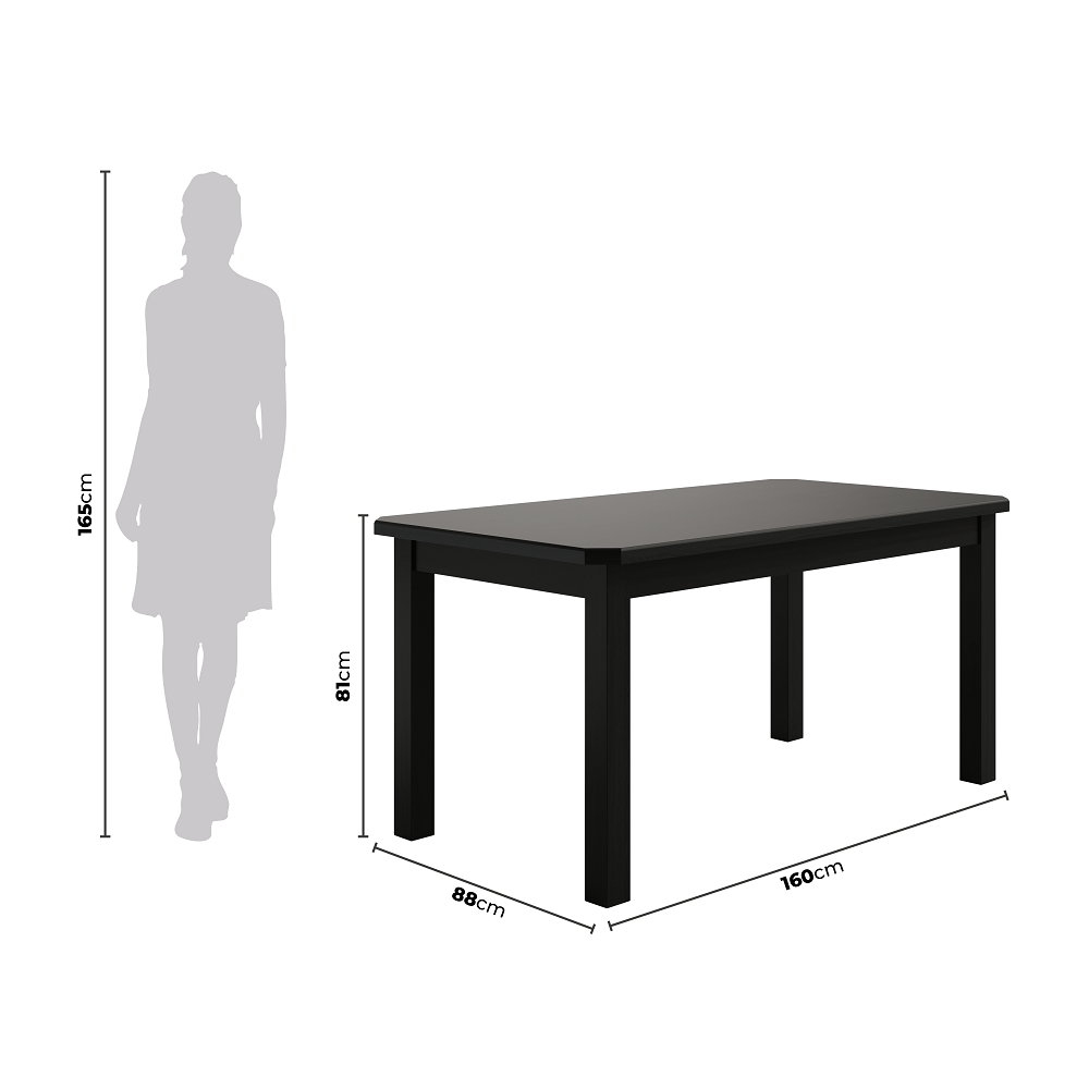 Conjunto Mesa De Madeira Maciça Preto 160x88+ 6 Cadeiras Sfa
