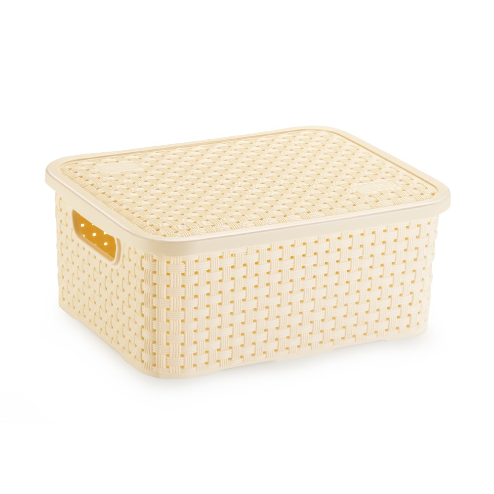 Caixa Organizadora de Plástico Rattan Pequeno com Tampa Creme