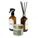 Kit Combo Aromatizador, Vela Aromática e Difusor de Ambiente Aromas de Bambu, Aroma Marinho e Capim-limão